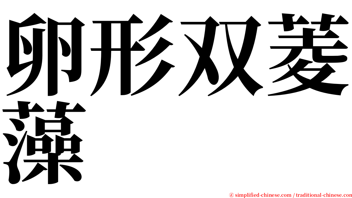 卵形双菱藻 serif font