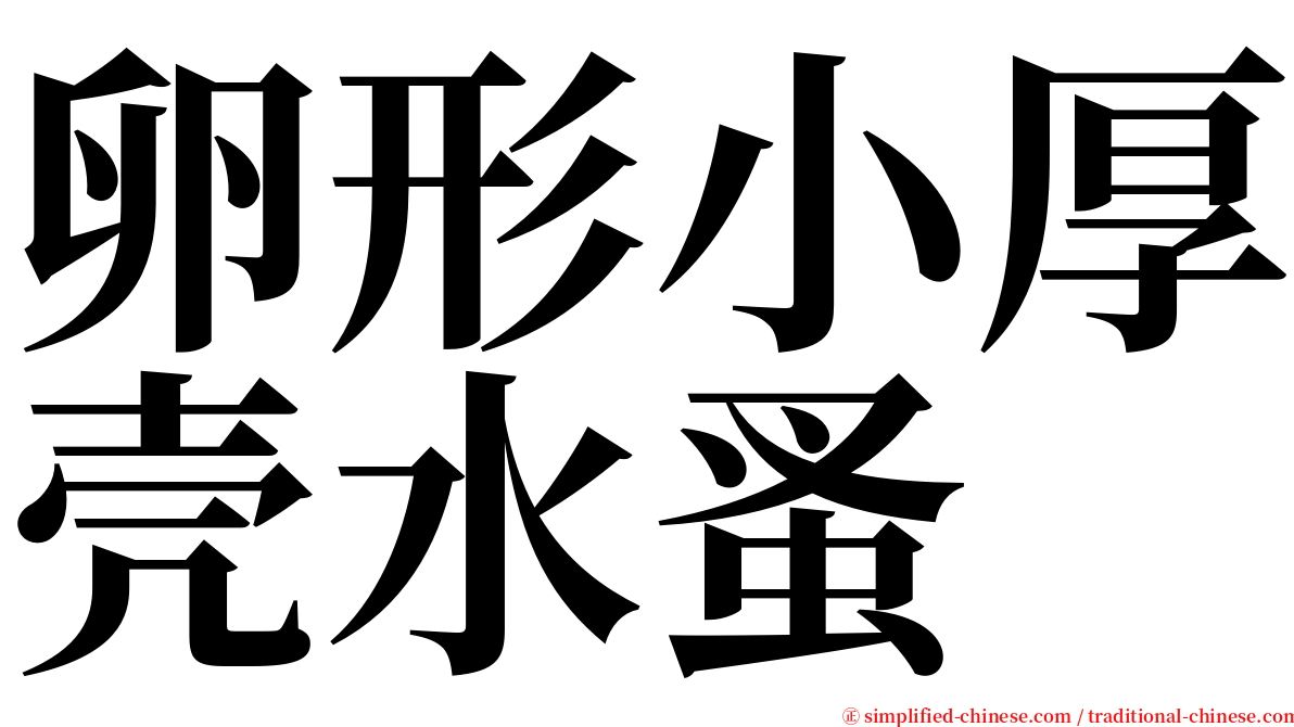 卵形小厚壳水蚤 serif font