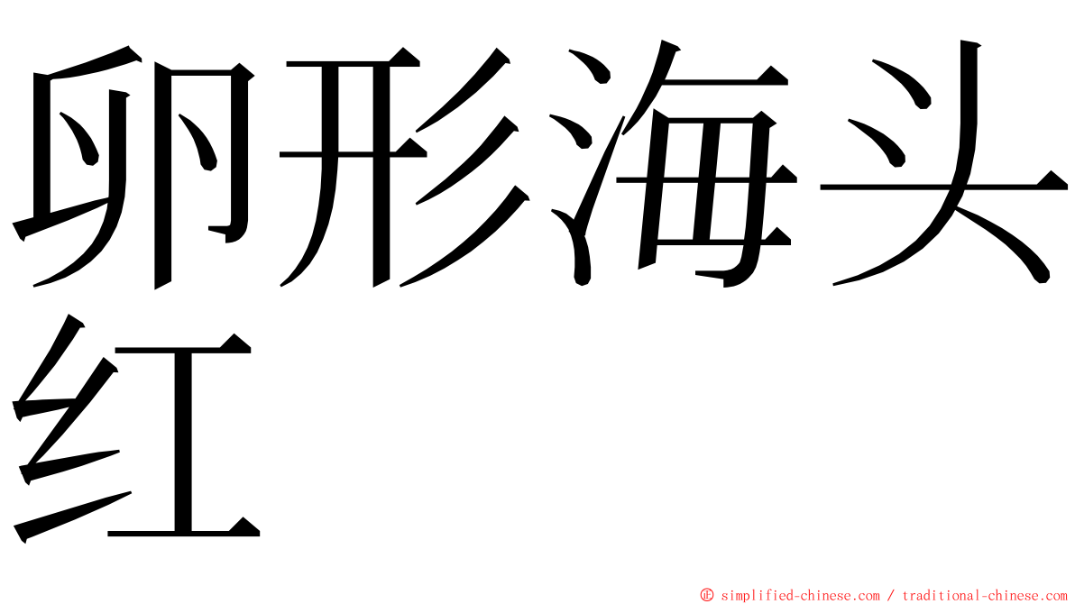 卵形海头红 ming font