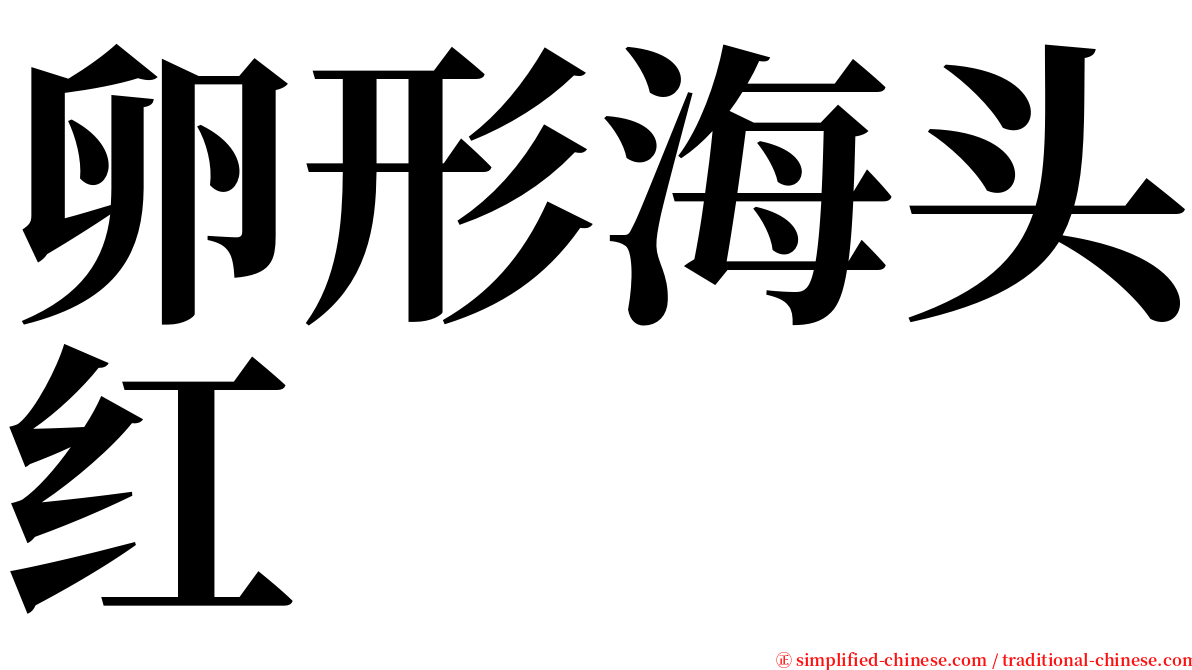 卵形海头红 serif font