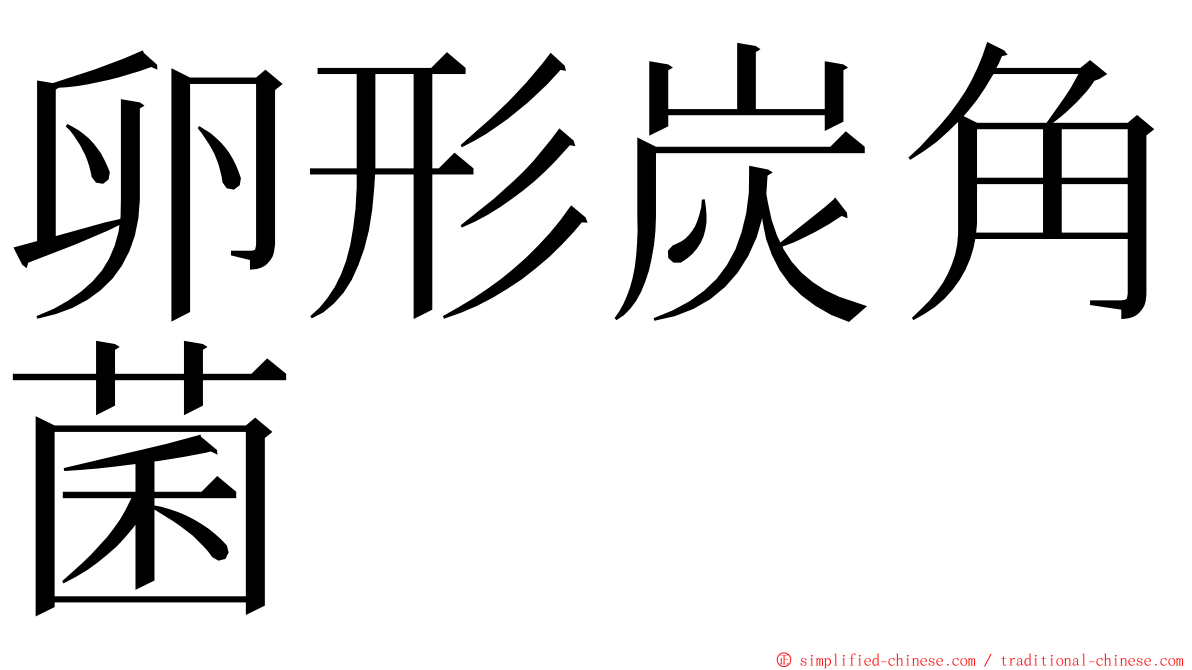 卵形炭角菌 ming font