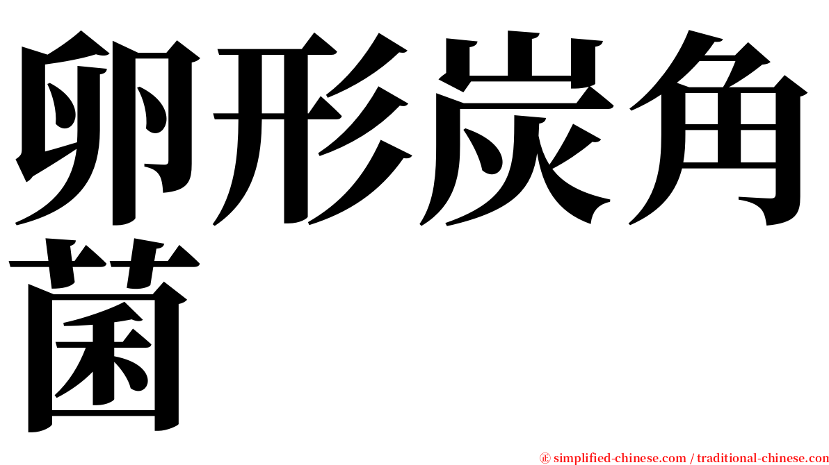 卵形炭角菌 serif font