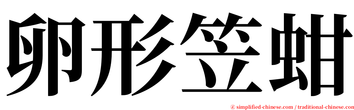 卵形笠蚶 serif font