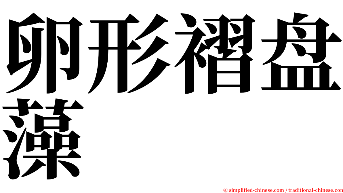 卵形褶盘藻 serif font