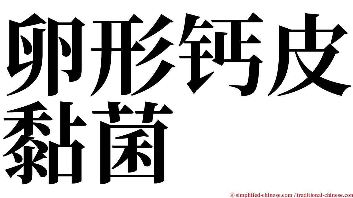 卵形钙皮黏菌 serif font