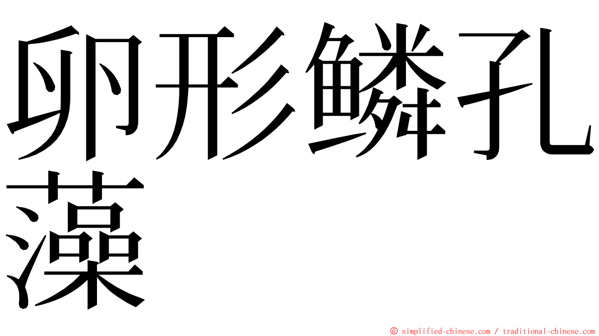 卵形鳞孔藻 ming font