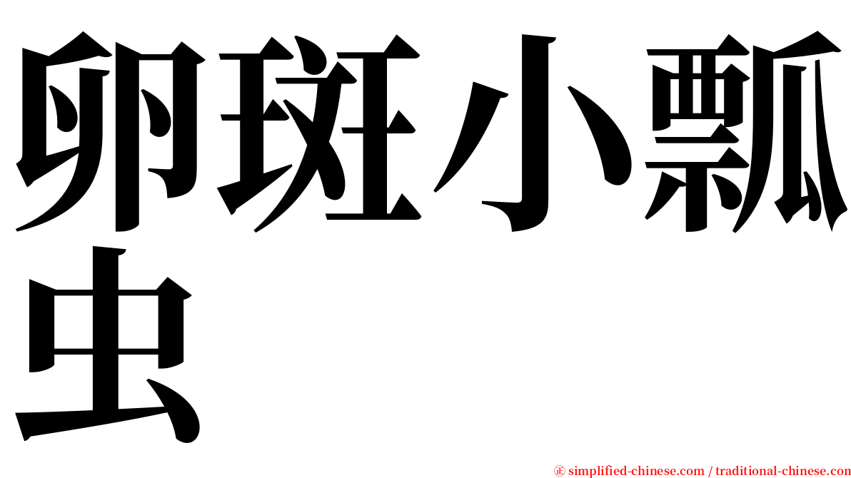 卵斑小瓢虫 serif font