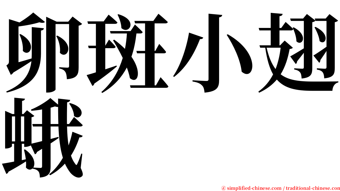 卵斑小翅蛾 serif font