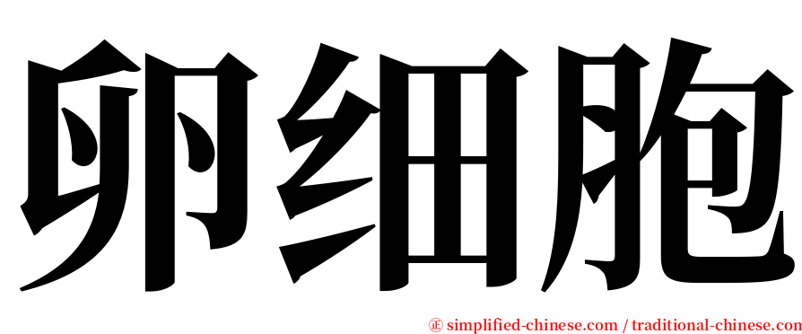 卵细胞 serif font