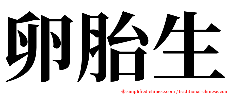 卵胎生 serif font