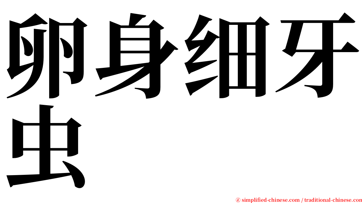 卵身细牙虫 serif font