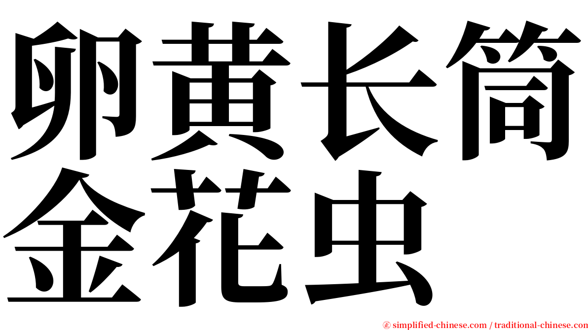 卵黄长筒金花虫 serif font