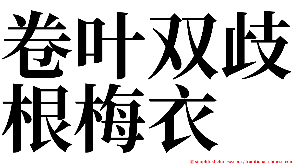 卷叶双歧根梅衣 serif font