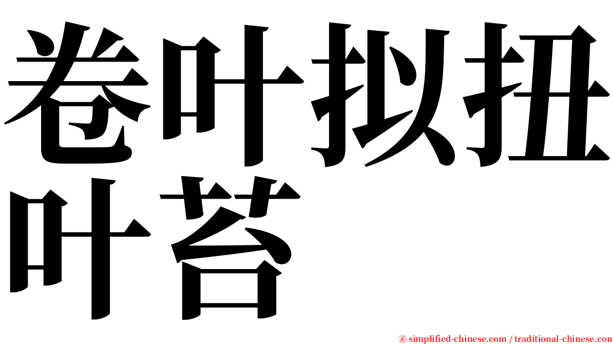 卷叶拟扭叶苔 serif font