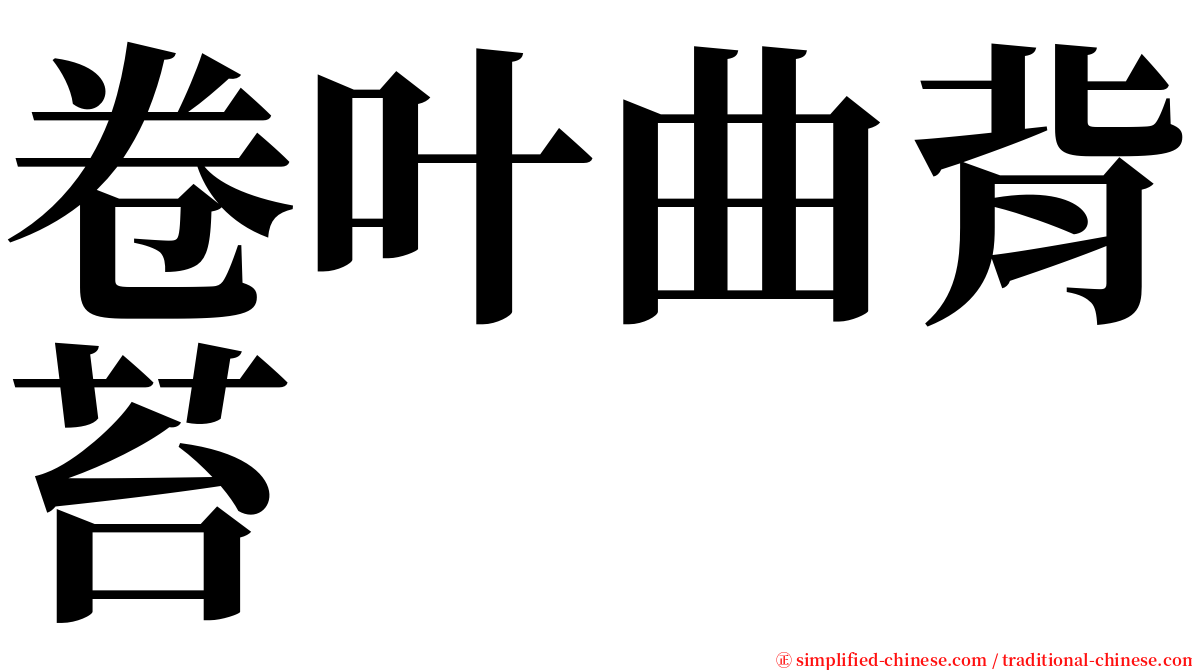 卷叶曲背苔 serif font