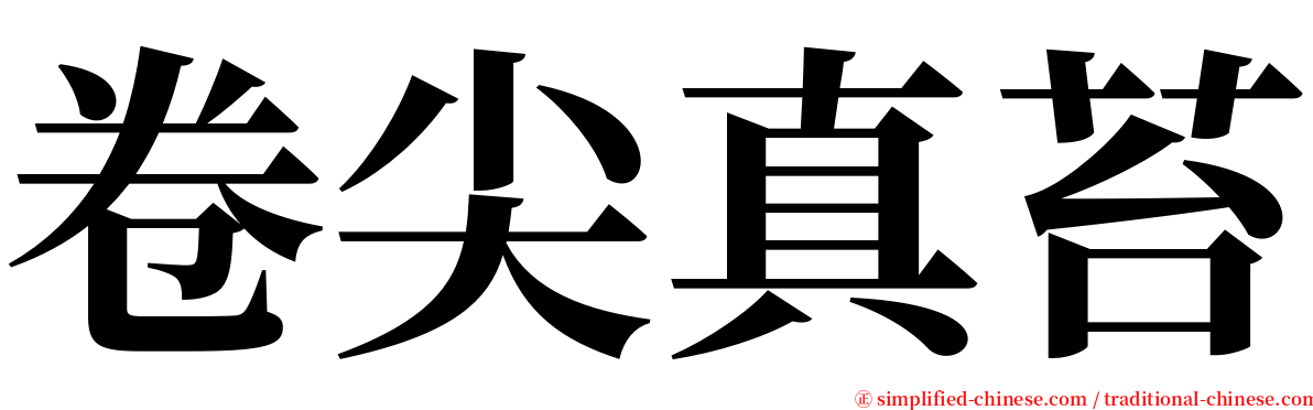 卷尖真苔 serif font