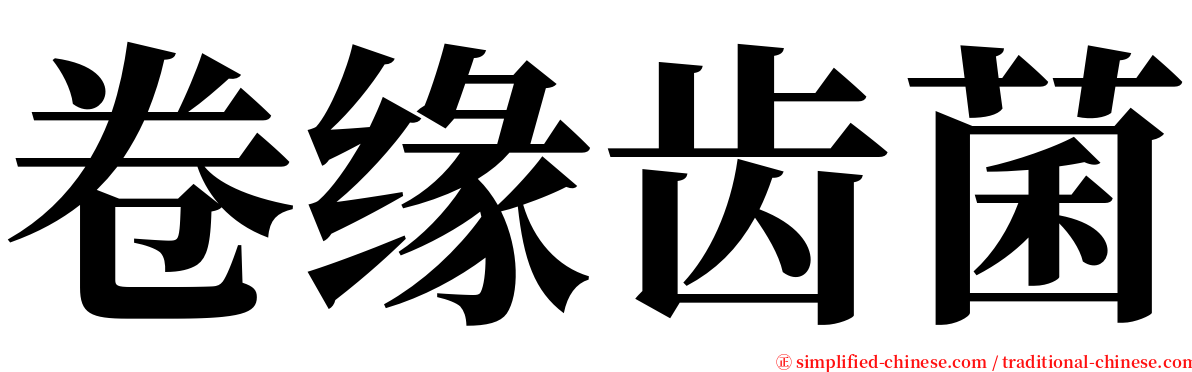 卷缘齿菌 serif font