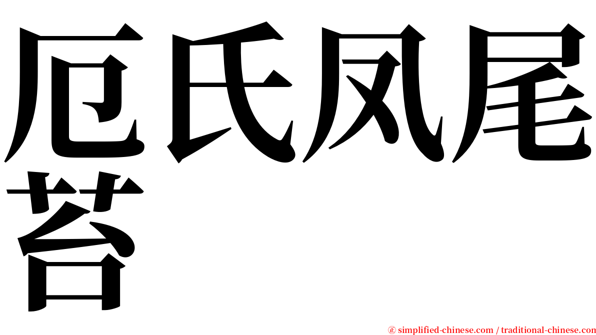 厄氏凤尾苔 serif font