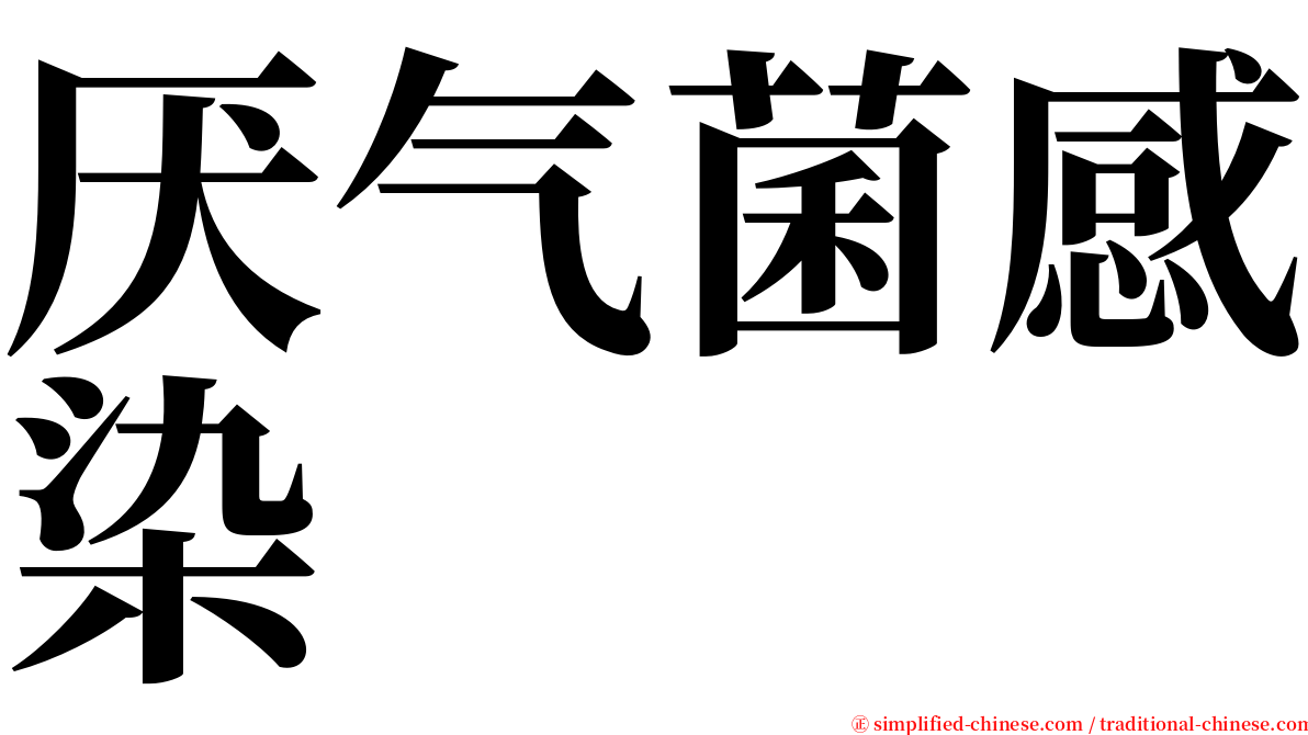 厌气菌感染 serif font