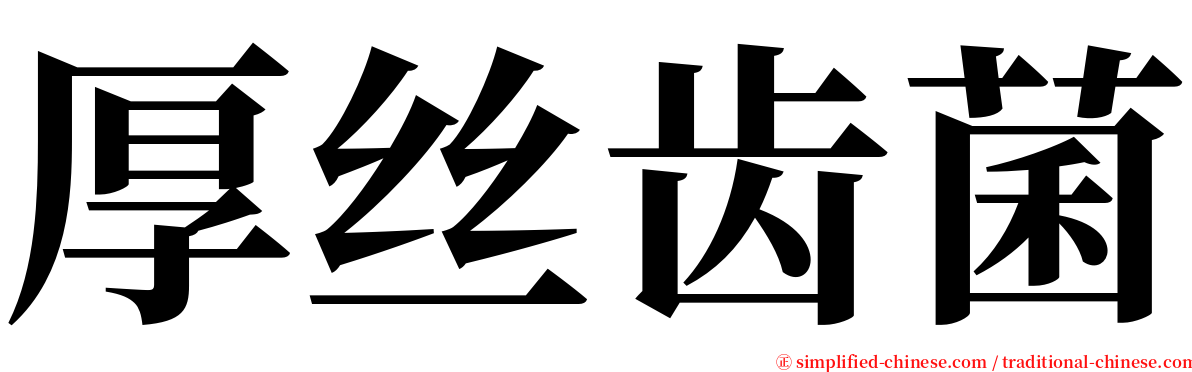 厚丝齿菌 serif font