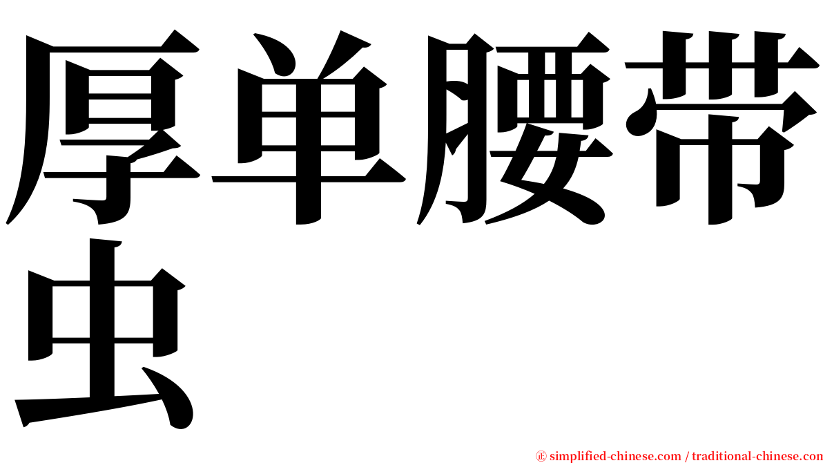 厚单腰带虫 serif font