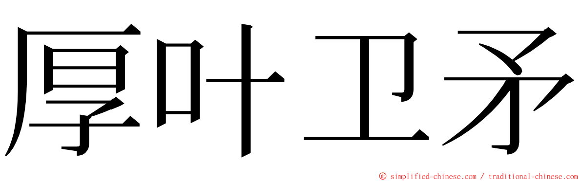 厚叶卫矛 ming font