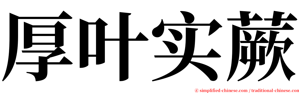 厚叶实蕨 serif font