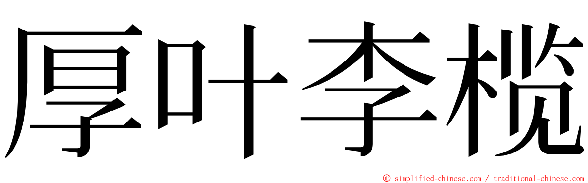厚叶李榄 ming font