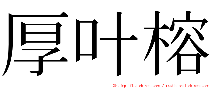 厚叶榕 ming font