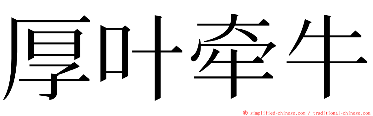 厚叶牵牛 ming font