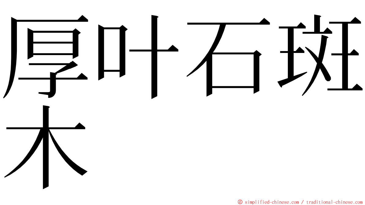 厚叶石斑木 ming font