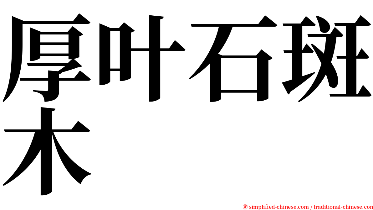 厚叶石斑木 serif font