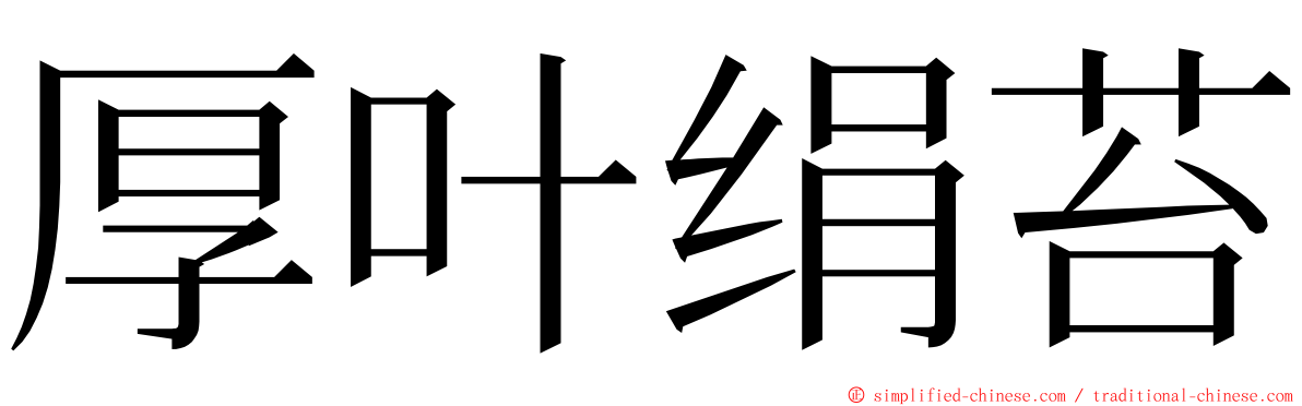 厚叶绢苔 ming font