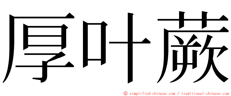 厚叶蕨 ming font