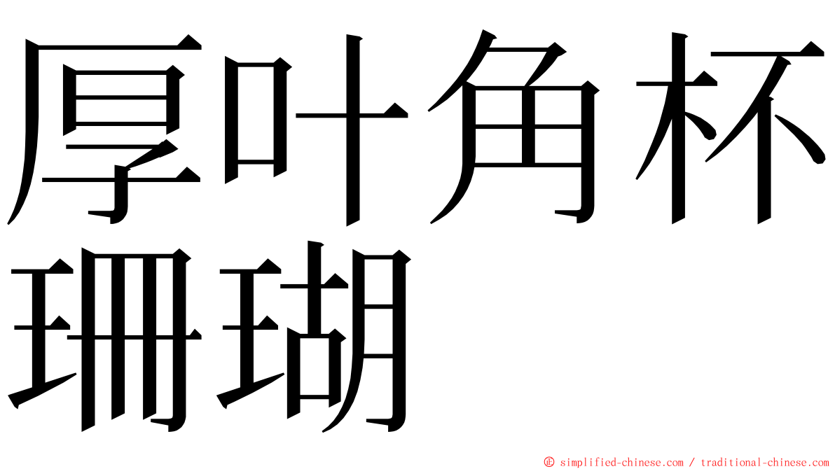 厚叶角杯珊瑚 ming font