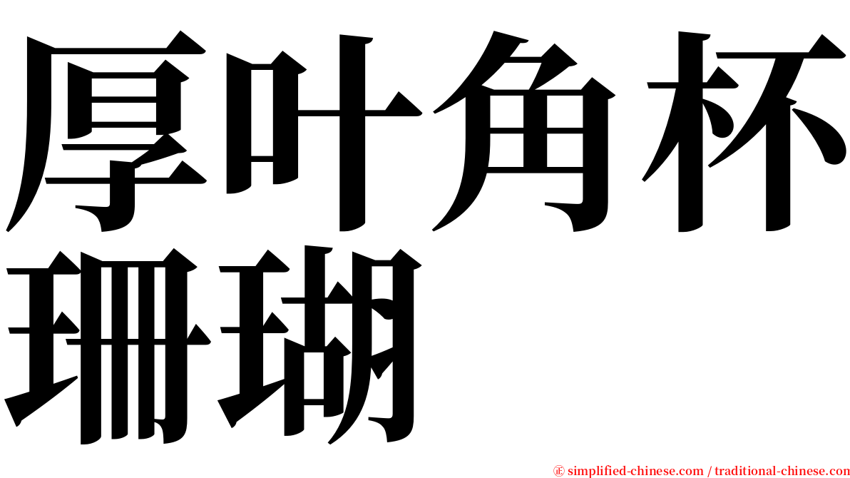 厚叶角杯珊瑚 serif font