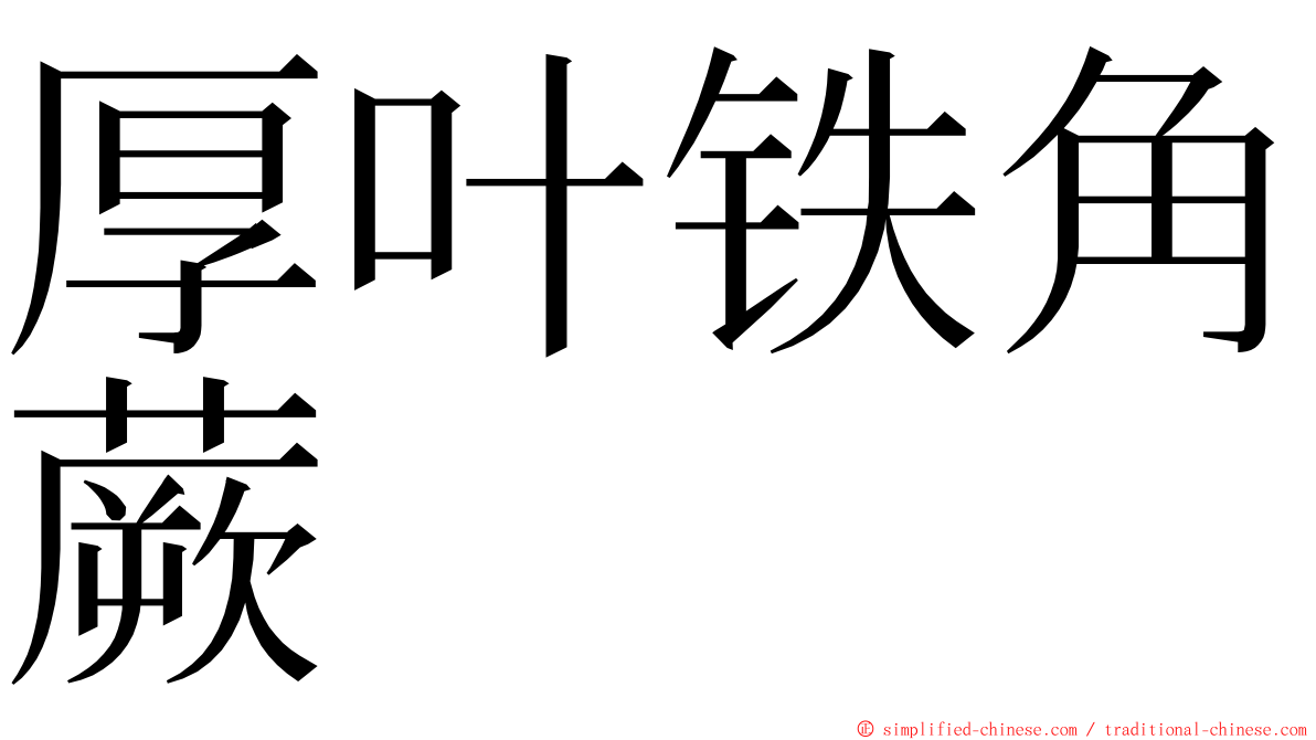 厚叶铁角蕨 ming font