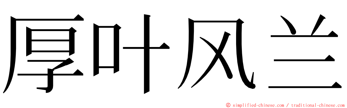 厚叶风兰 ming font