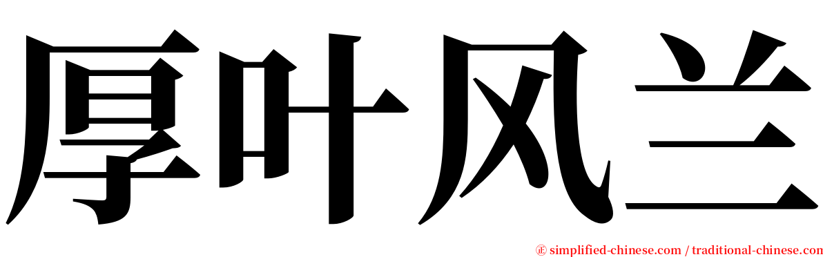 厚叶风兰 serif font