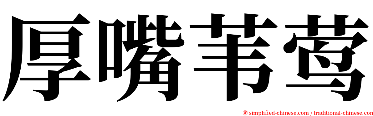 厚嘴苇莺 serif font