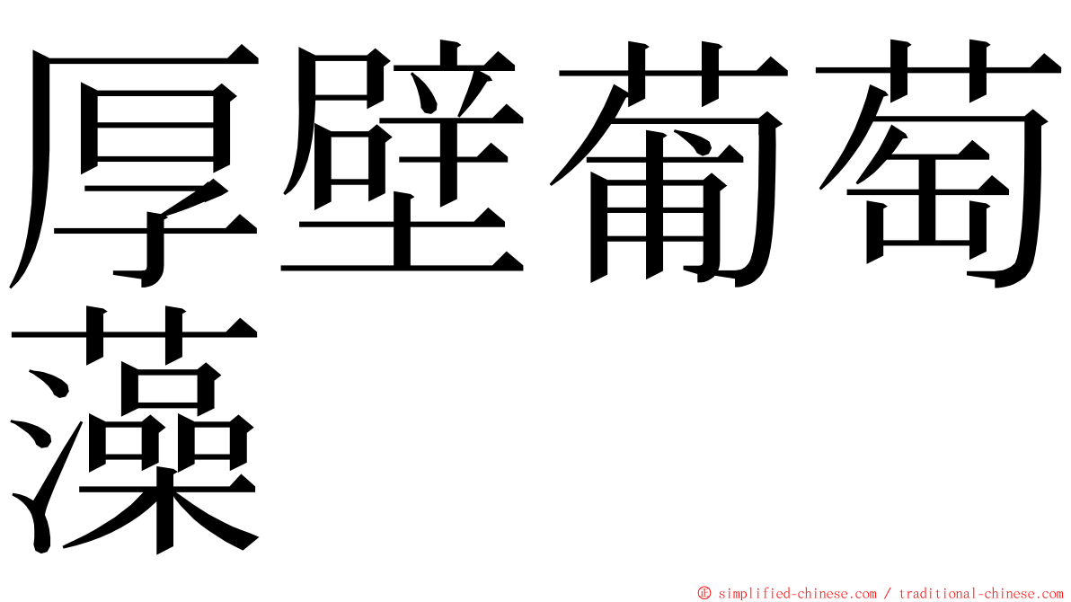 厚壁葡萄藻 ming font