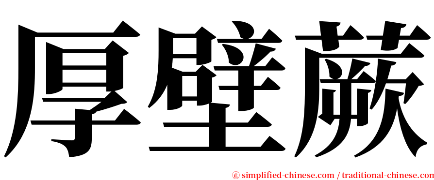 厚壁蕨 serif font