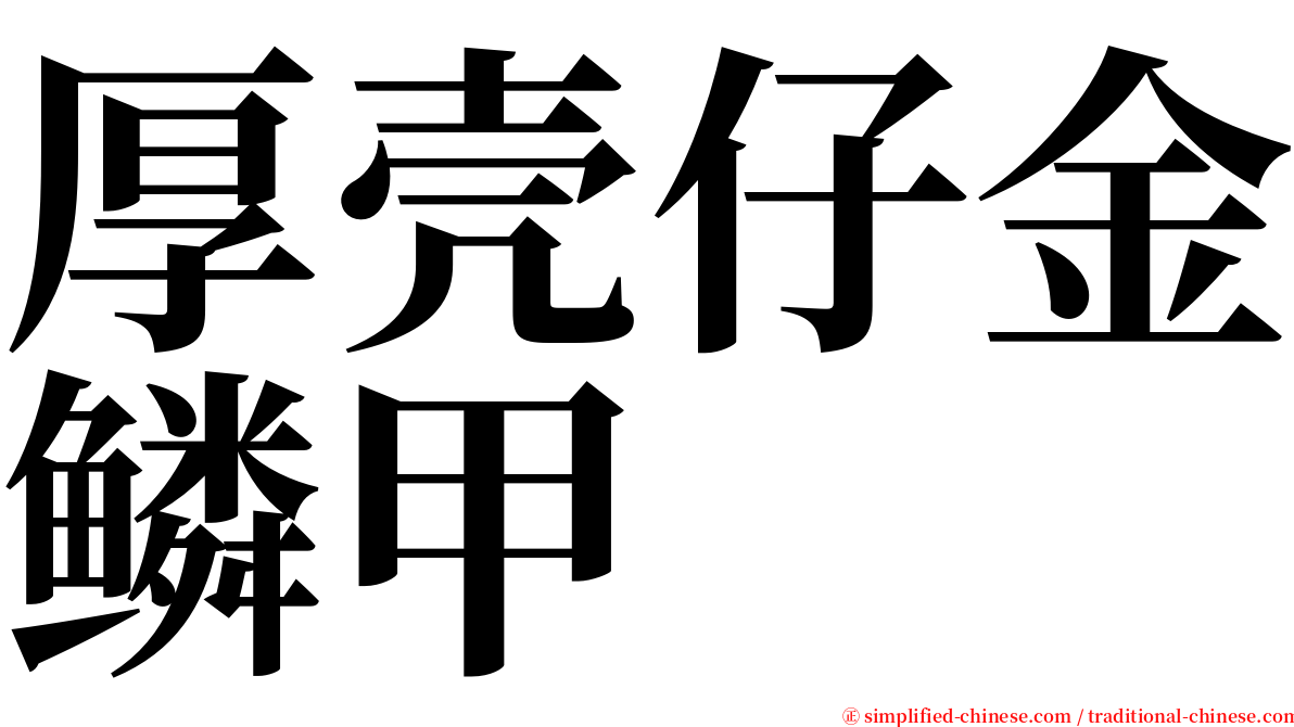 厚壳仔金鳞甲 serif font