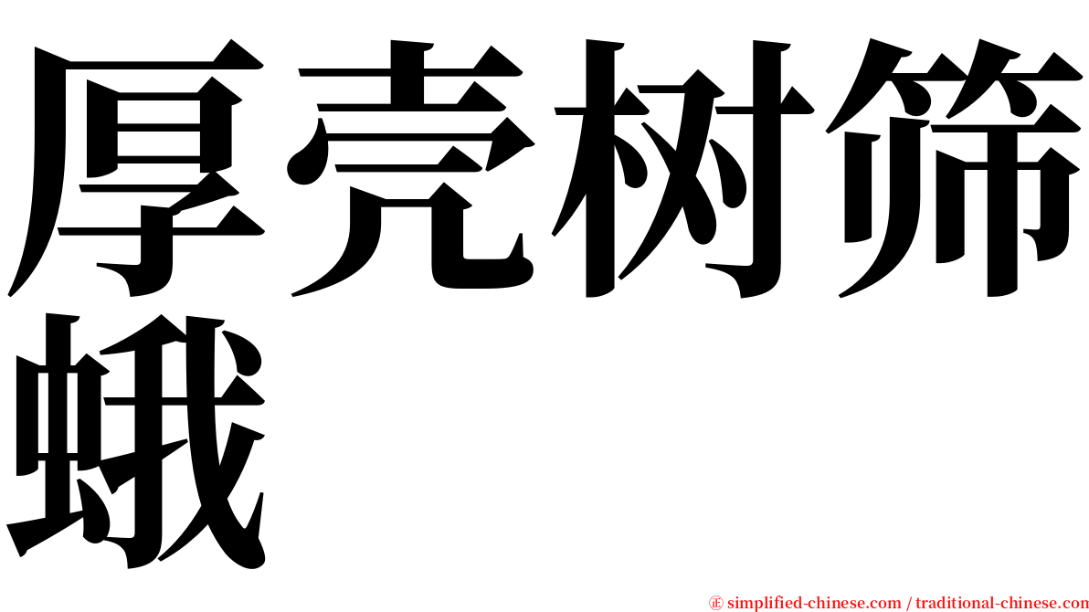 厚壳树筛蛾 serif font