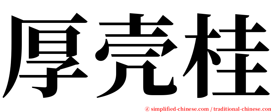 厚壳桂 serif font