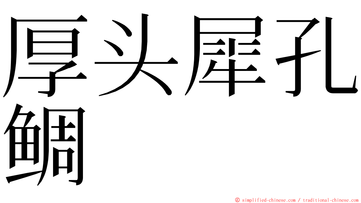 厚头犀孔鲷 ming font