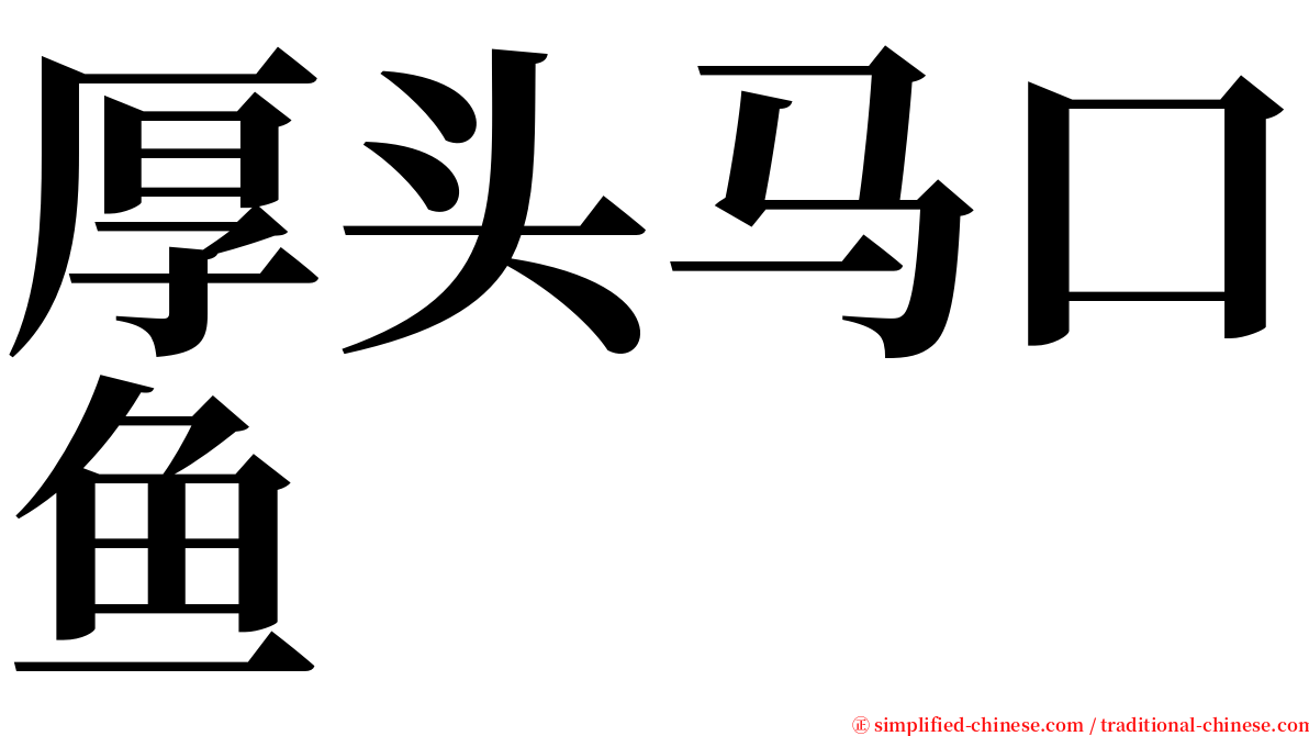 厚头马口鱼 serif font