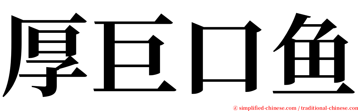 厚巨口鱼 serif font