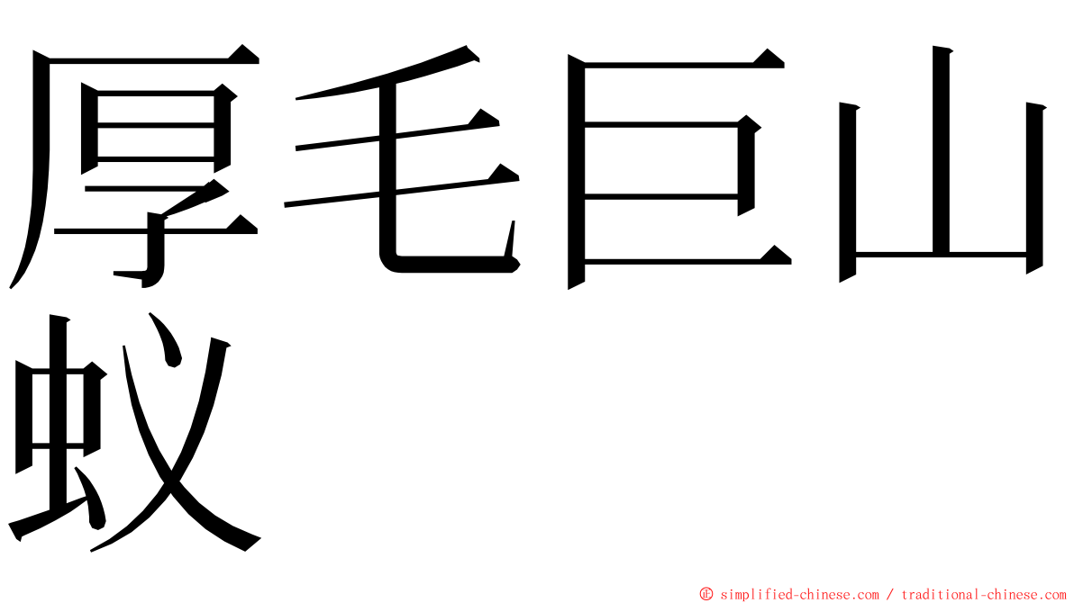 厚毛巨山蚁 ming font