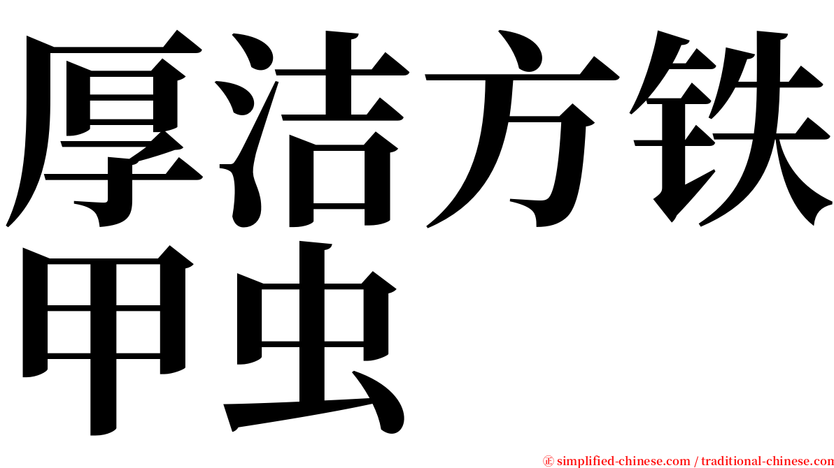 厚洁方铁甲虫 serif font